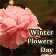 Send Winter Flowers Day Ecards!