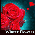 Thoughts Of Love!
