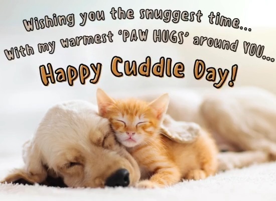 Snuggest Cuddle Day Wishes