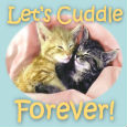 Wanna Cuddle?