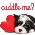 A Cute Request.