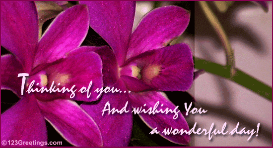 Wishing You A Wonderful Day!