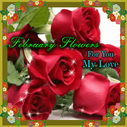 My February Flowers Card For You.