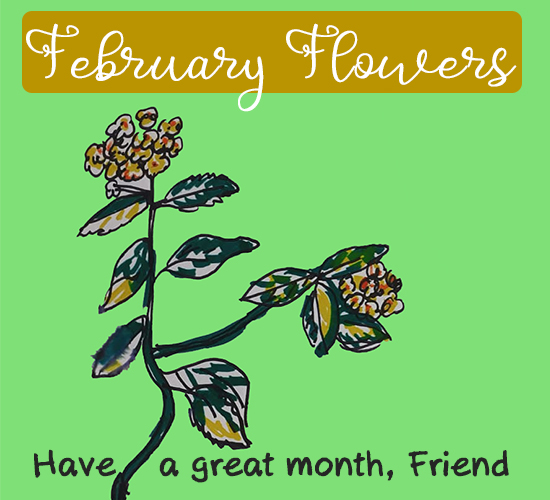 February Flowers, Konkani  Flowers.