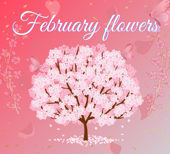 February Flowers Card