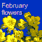 February Flowers