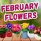February Flowers Sending Your Way.