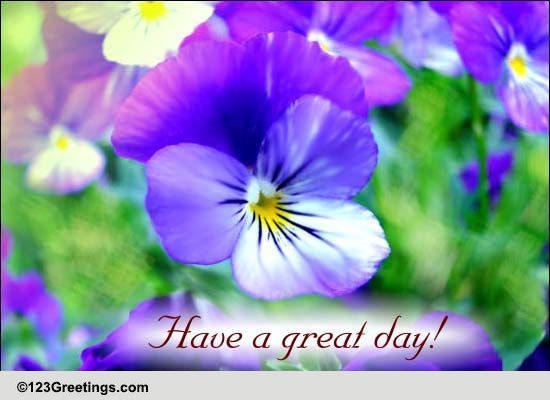 Bright And Colorful Day! Free February Flowers eCards, Greeting Cards ...