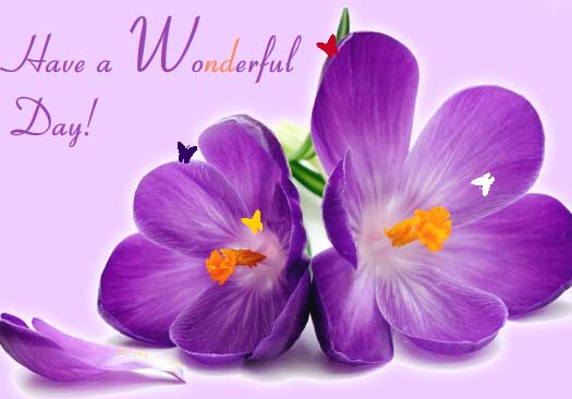 Have A Wonderful Day. Free February Flowers eCards, Greeting Cards ...