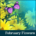 Bright And Beautiful Flowers!