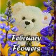 Fairest Flowers Of February!