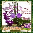 A February Flowers Day Card.