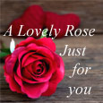 Perfect Expression Of Love For Your...