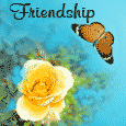 Your Friendship Means A Lot...