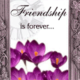 Friendship Is Forever...