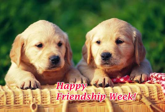 Send Intl. Friendship Week Day Greetings!
