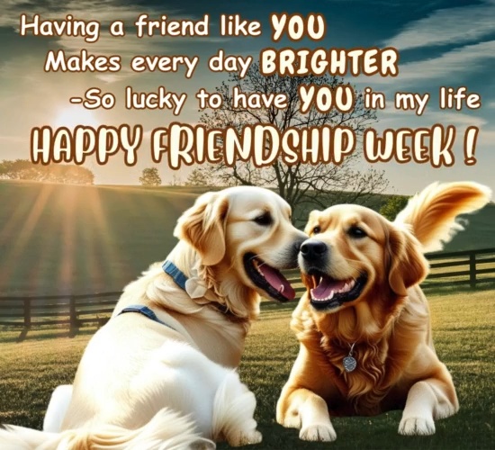 For The Friend You Feel Lucky To Have