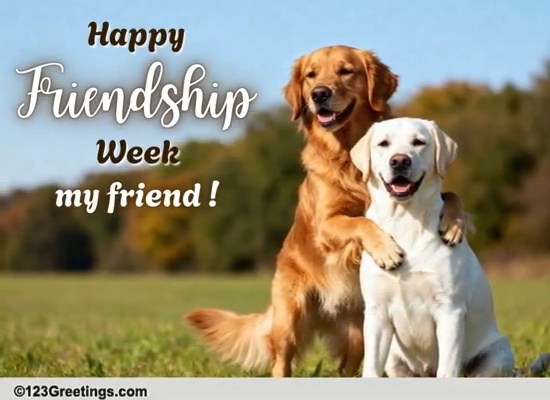 Just For Your Friend Free Intl. Friendship Week eCards, Greeting Cards ...