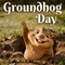 Send Happy Groundhog Day Wishes
