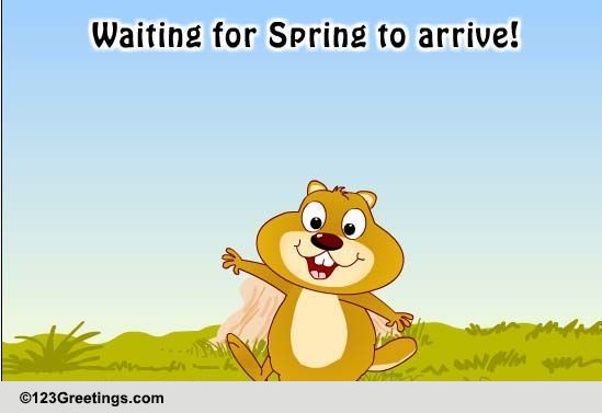 Groundhog Day Fun!