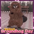 Let&#x92;s Do The Groundhog Dance.