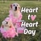 Adorable Heart To Heart Day Wishes.