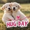 Hugs For You!!