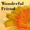 For A Wonderful Friend...