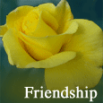 Thinking Of Our Friendship...