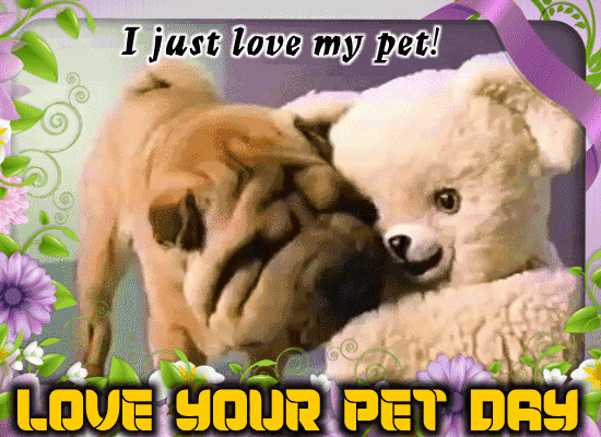 I Just Love My Pet!