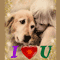 A Love Your Pet Day Card For You.