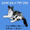 Love Your Pet Day, Cat Friend.