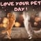 Cute Love Your Pet Day Wishes!