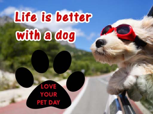 Be Nice To Your Pet! Free Love Your Pet Day eCards, Greeting Cards ...