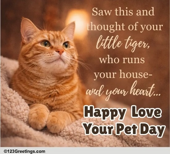 Love Your Pet Day Ecard For Cat Parent