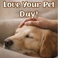 Send Love Your Pet Ecard To Pet Lovers