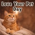 Love Your Pet Day Ecard For Cat Parent