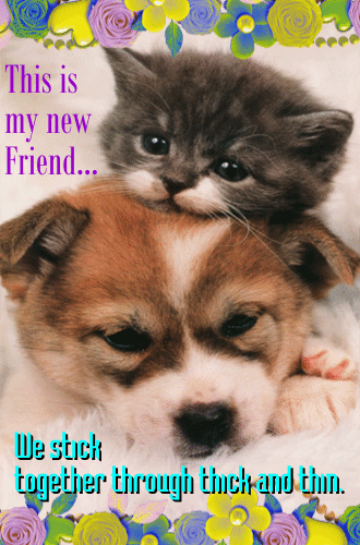 A New Friend Ecard For You.