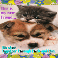 A New Friend Ecard For You.
