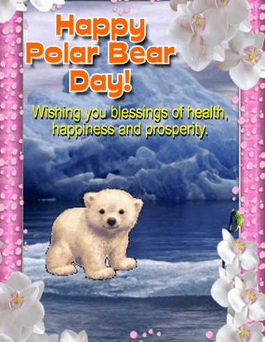 A Happy Polar Bear.