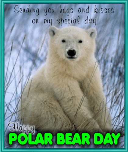 A Happy Polar Bear Day Card For You.