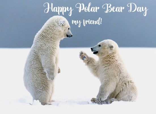 Happy Polar Bear Day My Friend!