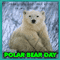 A Happy Polar Bear Day Card...