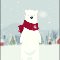 A Polar Bear Day Greeting Card For You.