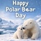Share Love For Polar Bears Today