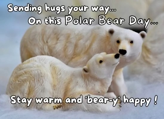 Send Warm Wishes This Polar Bear Day