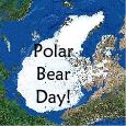 Polar Bear Day Fun!