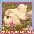 It’s Your Day... Polar Bear Day!