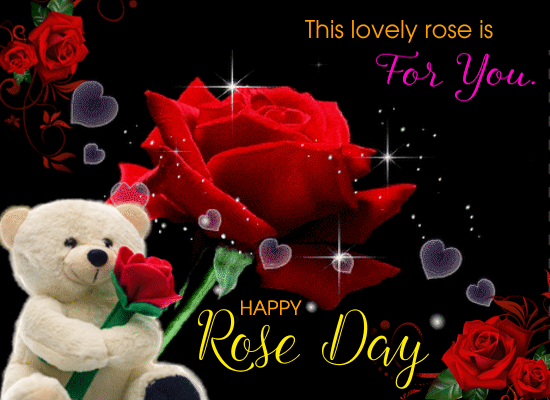 This Lovely Rose Is For You.