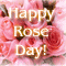 Pink Roses For You On Rose Day!